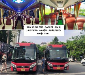 B4351904c9c20c9c55d39